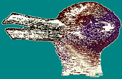bunny/duck
